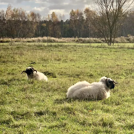 Berlin - Naturnah & Startklar * Eichwalde