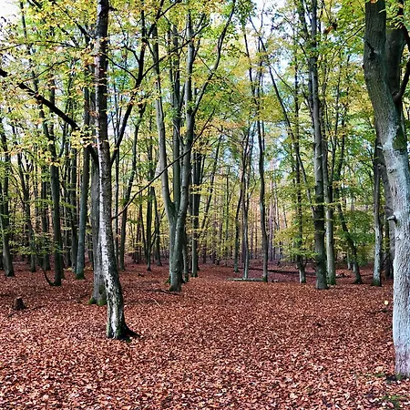 Berlin - Naturnah & Startklar