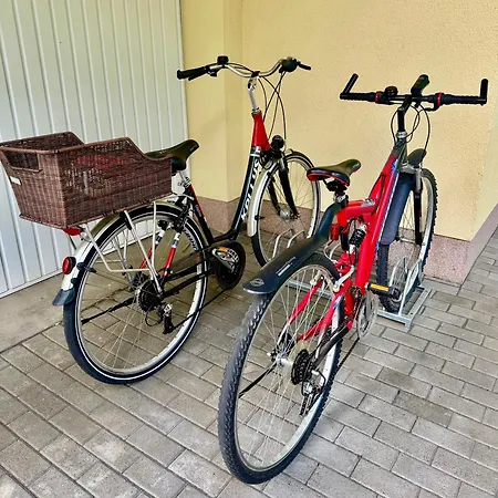 Berlin - Naturnah & Startklar