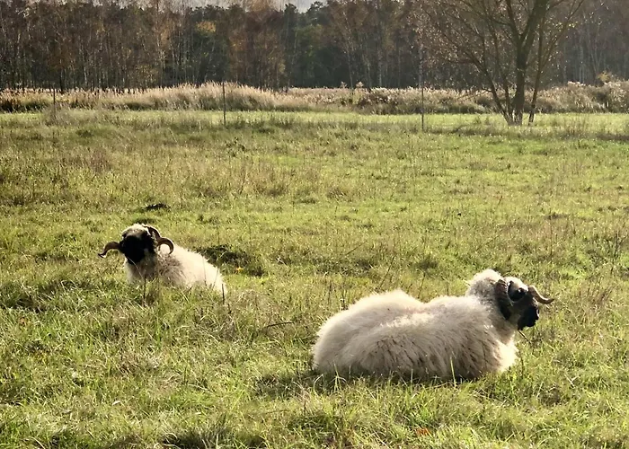 Berlin - Naturnah & Startklar * Eichwalde