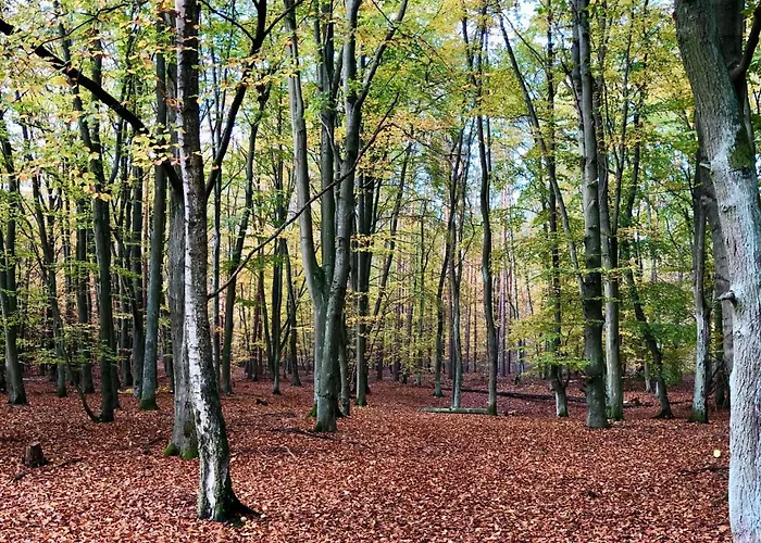 Berlin - Naturnah & Startklar