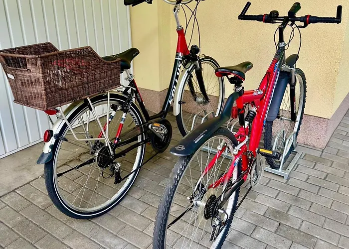 Berlin - Naturnah & Startklar